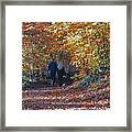 A Walk Through The Woods Framed Print