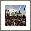 A Wet Decay Framed Print