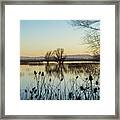 A Wetland Evening Framed Print