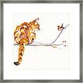 A Winter Meeting - Ginger Cat Framed Print