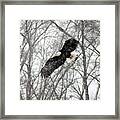 A Winter's Day Framed Print