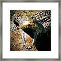 Aaaaarrrrrggggghhhhh!!!!!!! Framed Print