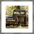 Abandoned And Abused Framed Print