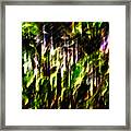 Abscond Squall Framed Print