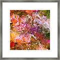 Abstract 276 Framed Print
