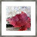 Abstract Bright Red Leaf Framed Print