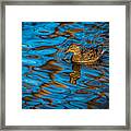 Abstract Duck Framed Print