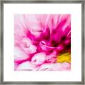 Abstract Floral No. 1 Framed Print