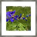 Abstract Flower Watercolor Framed Print
