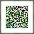 Abstract Grass Framed Print