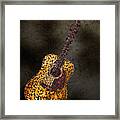 Abstract Guitar Framed Print