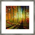 Abstract Landscape 0745 Framed Print