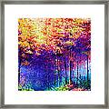 Abstract Landscape 0830a Framed Print