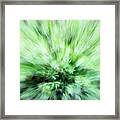 Abstract Leaves 7 Framed Print