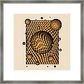 Abstract - Life Grid Framed Print