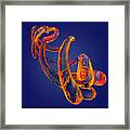 Abstract Number 13 Framed Print