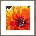 Abstract Orange Flower Framed Print