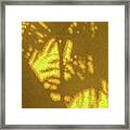 Abstract Palm Framed Print