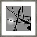 Abstract Reflection Framed Print