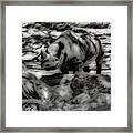 Abstract Rhino 7 Framed Print