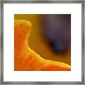 Abstract Tulip Photography Artwork Framed Print