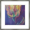 Abstract Yellow Rose Framed Print