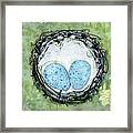 Abundance In A Nest Framed Print