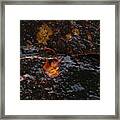 Acadia Waterfall Framed Print