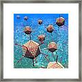 Adenovirus Particles 3 Framed Print