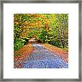 Adirondack Autumn Road Framed Print