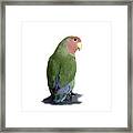 Adorable Pickle On A Transparent Background Framed Print