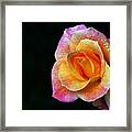 Aflame Framed Print