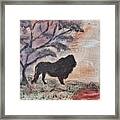 African Landscape Lion And Banya Tree At Watering Hole With Mountain And Sunset Grasses Shrubs Safar Framed Print