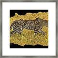 African Leopard 7 Framed Print