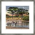 African Safari Wildlife At The Waterhole Framed Print