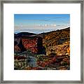 After The Gold Rush Framed Print