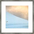 Afternoon Commute - Antarctica Penguin Photograph Framed Print