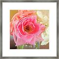 Afternoon Rose By Mike-hope Framed Print