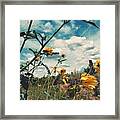 Against The Wind Framed Print