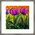 Spring Tulips - A 215 Framed Print