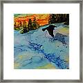 Raven's Shadow - A 230 Framed Print