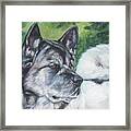 Akita Framed Print