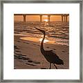 Alabama Blue Heron Framed Print