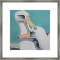 Albatros Love Framed Print