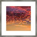 Almost Autumn Framed Print