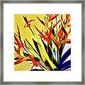 Aloha Bouquet Of The Day - Halyconia Birds In Orange Framed Print
