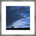 Alone Framed Print