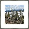 Along The Yellowstone River Framed Print