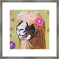 Alpaca Hippie Framed Print