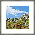 Alpine Rock Garden Framed Print